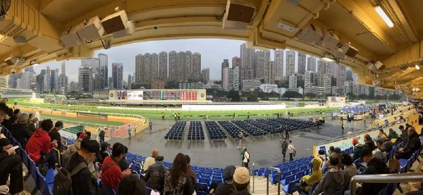 赛马场