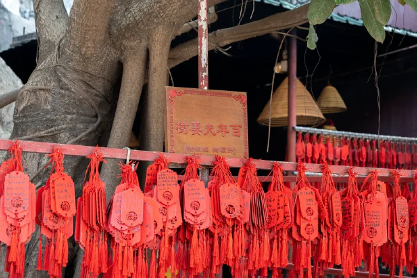 百年夫妻树