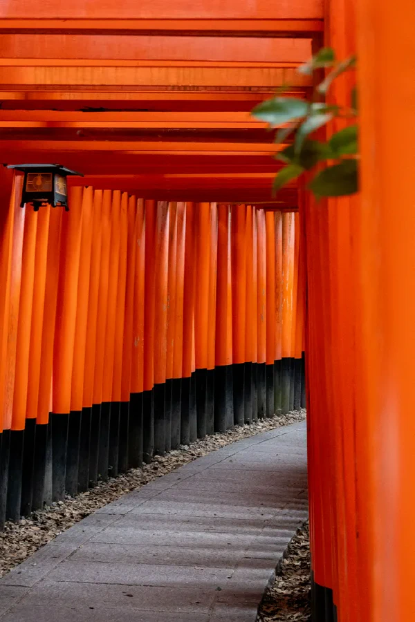千本鸟居1