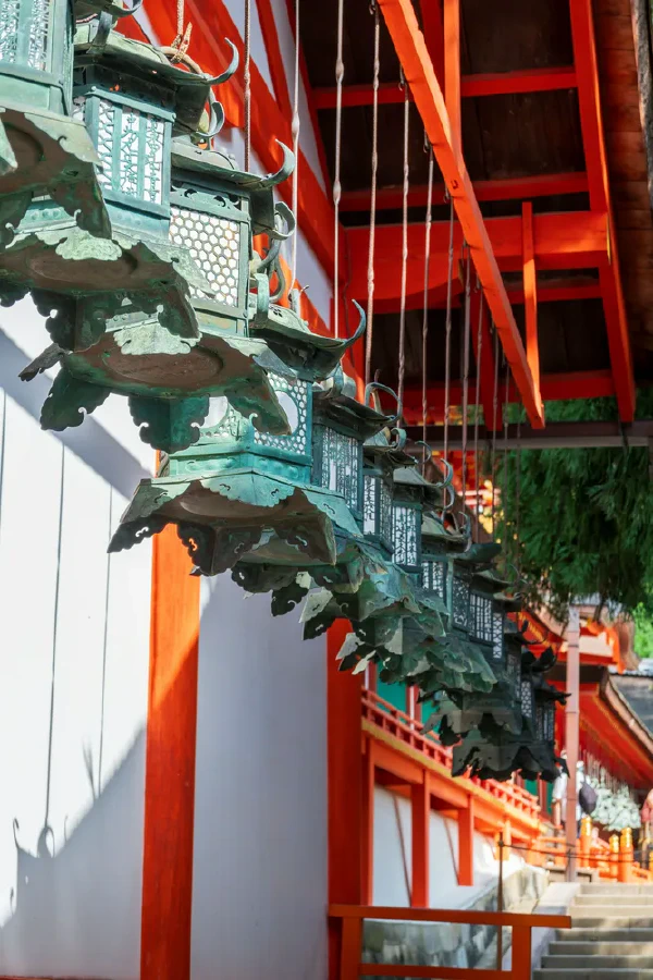 吊灯笼1