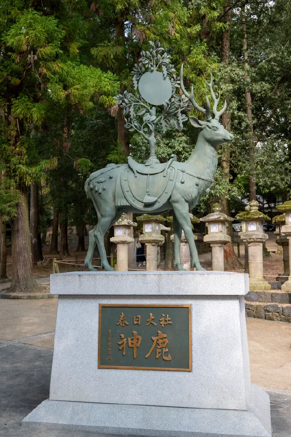 神鹿