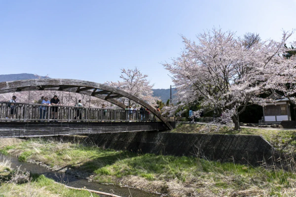 步道1
