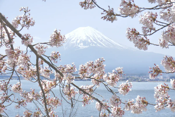 富士山1