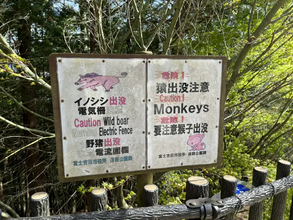 牌子